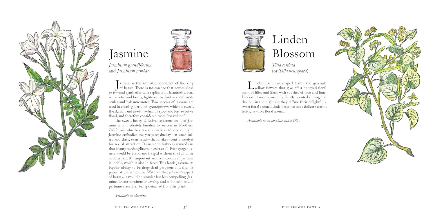 The Museum of Scent (Hardcover) - Image 6