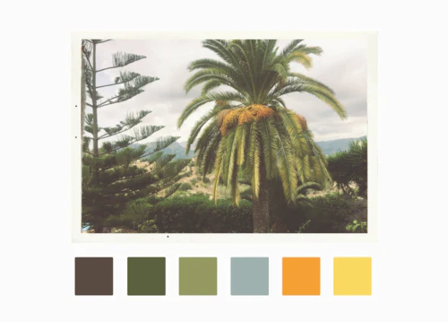 Tropica - Image 2