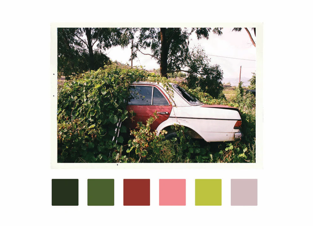 Voyeur Verde - Image 2