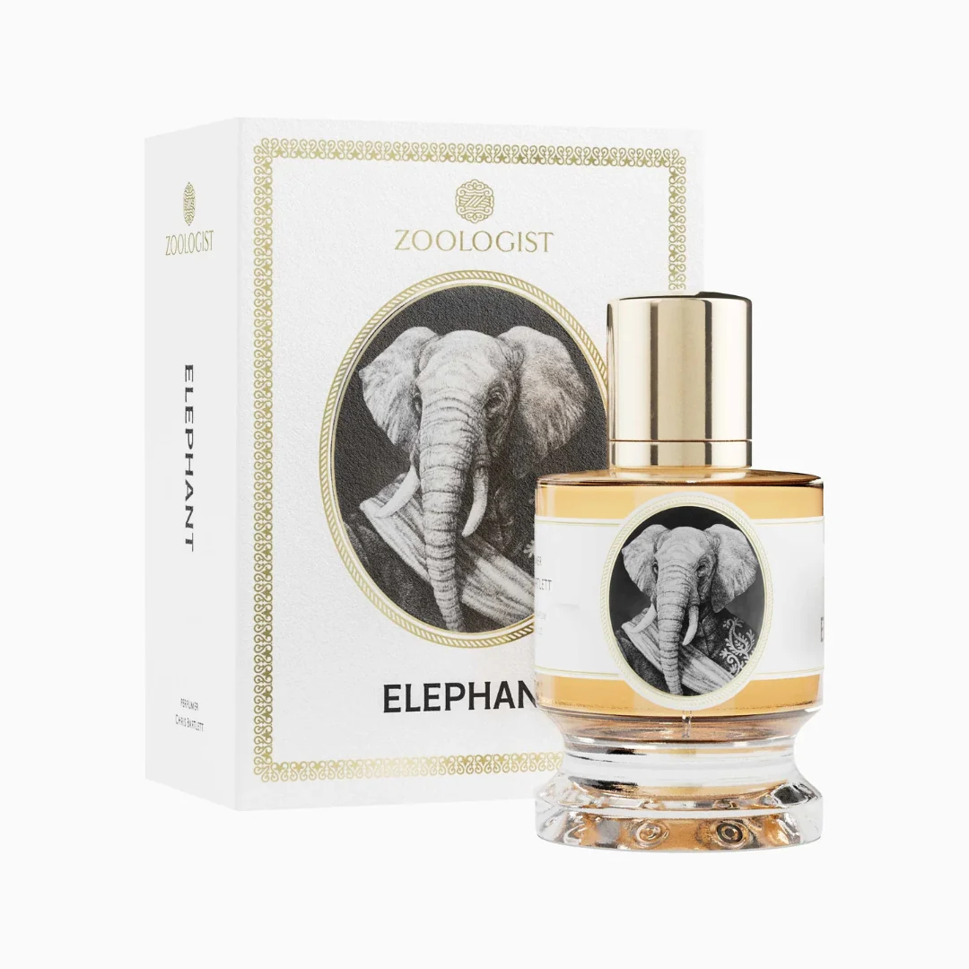 Elephant - Image 2