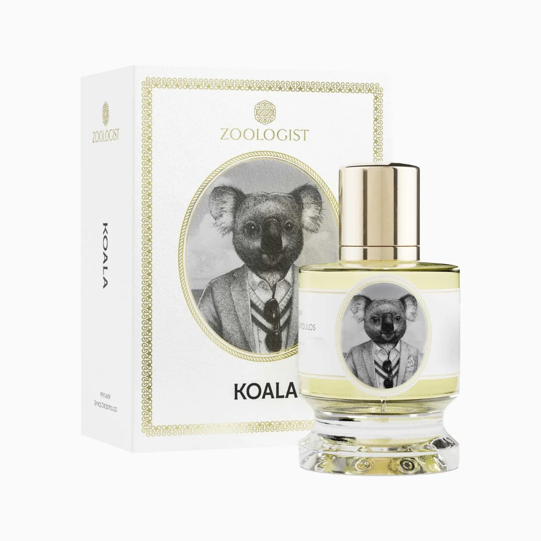 Koala - Image 2
